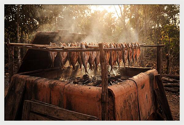 Traditional Fish Smoking Kiln