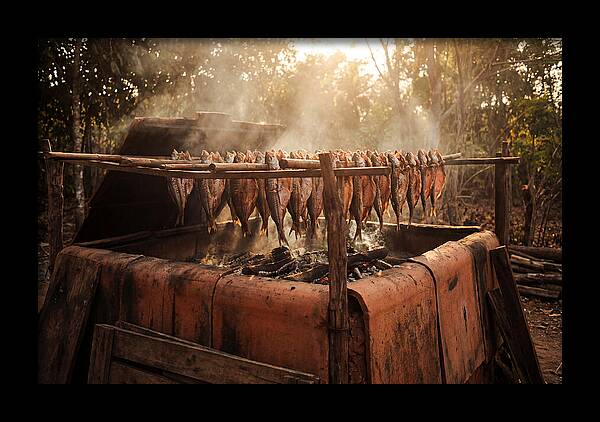 Traditional Fish Smoking Kiln