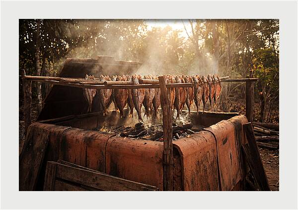 Traditional Fish Smoking Kiln