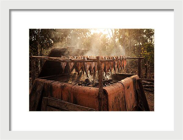 Traditional Fish Smoking Kiln