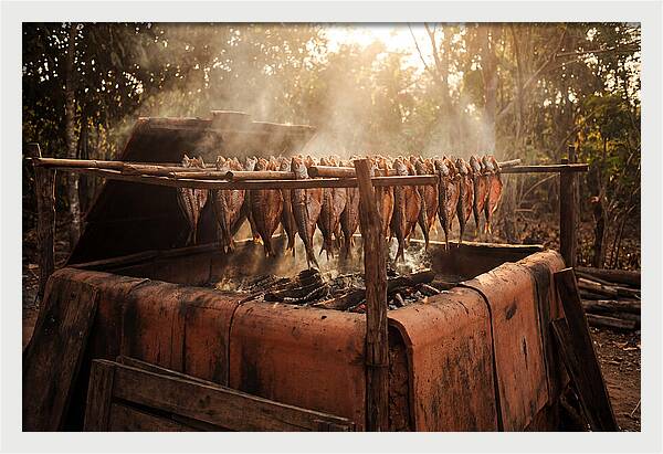 Traditional Fish Smoking Kiln