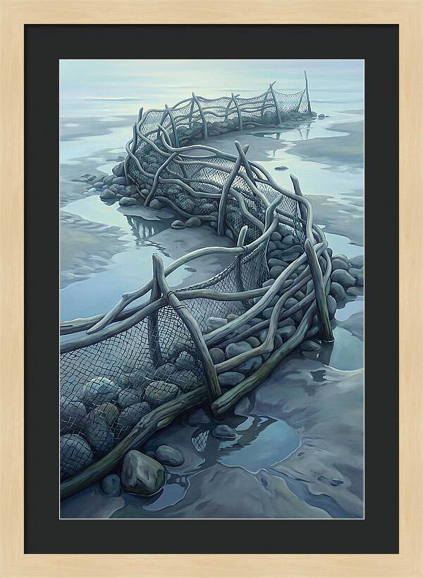 Traditional Fishing Weir At Low Tide
