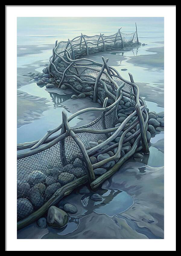 Traditional Fishing Weir At Low Tide