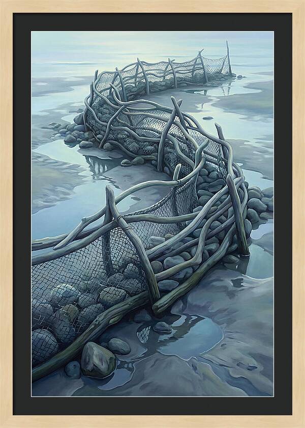 Traditional Fishing Weir At Low Tide