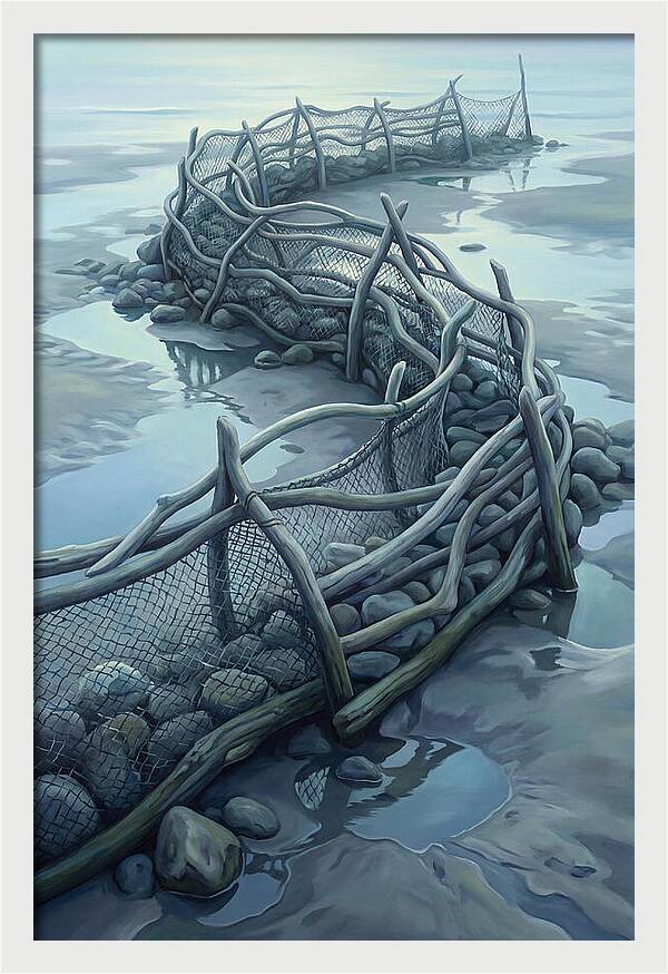 Traditional Fishing Weir At Low Tide