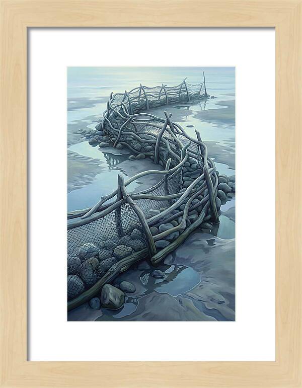 Traditional Fishing Weir At Low Tide