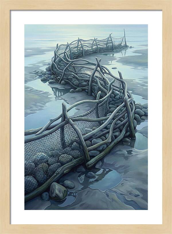 Traditional Fishing Weir At Low Tide