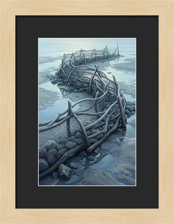 Traditional Fishing Weir At Low Tide