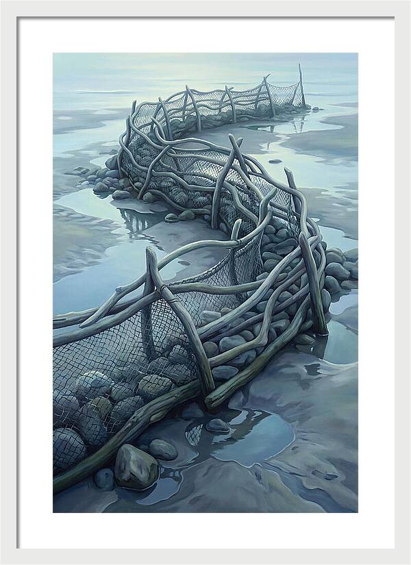 Traditional Fishing Weir At Low Tide
