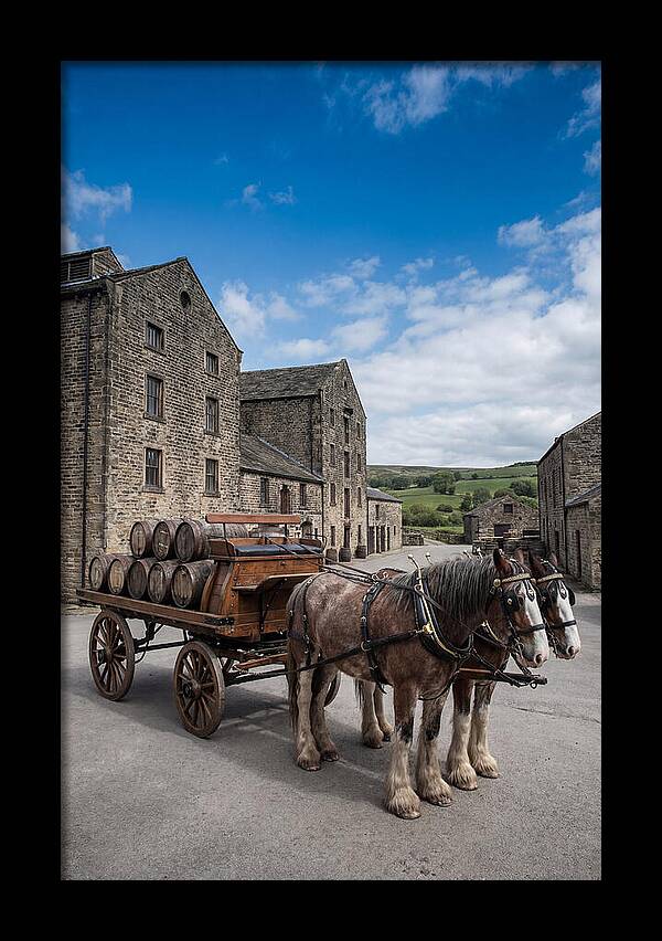 Traditional Horse Drawn Dray Wagon