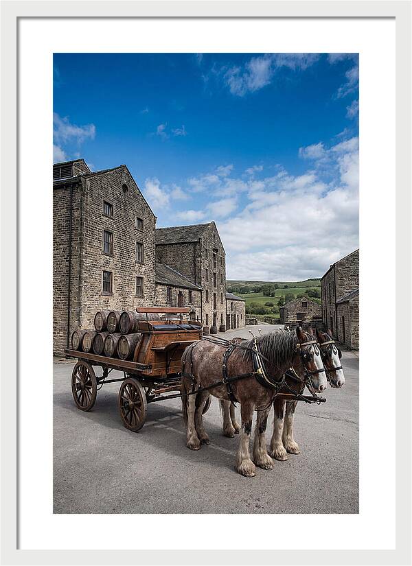 Traditional Horse Drawn Dray Wagon