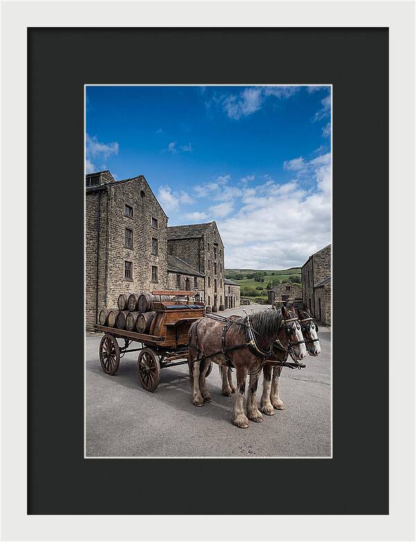 Traditional Horse Drawn Dray Wagon