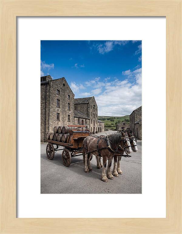 Traditional Horse Drawn Dray Wagon