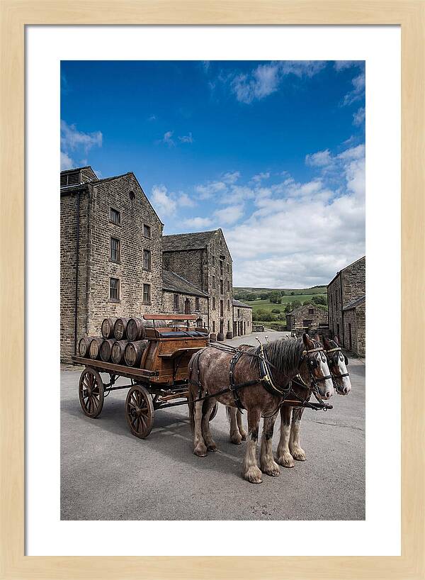Traditional Horse Drawn Dray Wagon