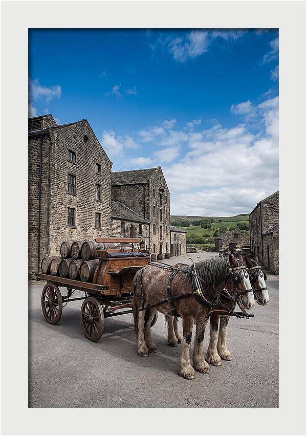 Traditional Horse Drawn Dray Wagon