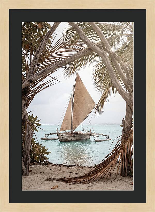Traditional Outrigger Proa Sailing