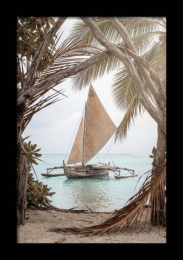 Traditional Outrigger Proa Sailing