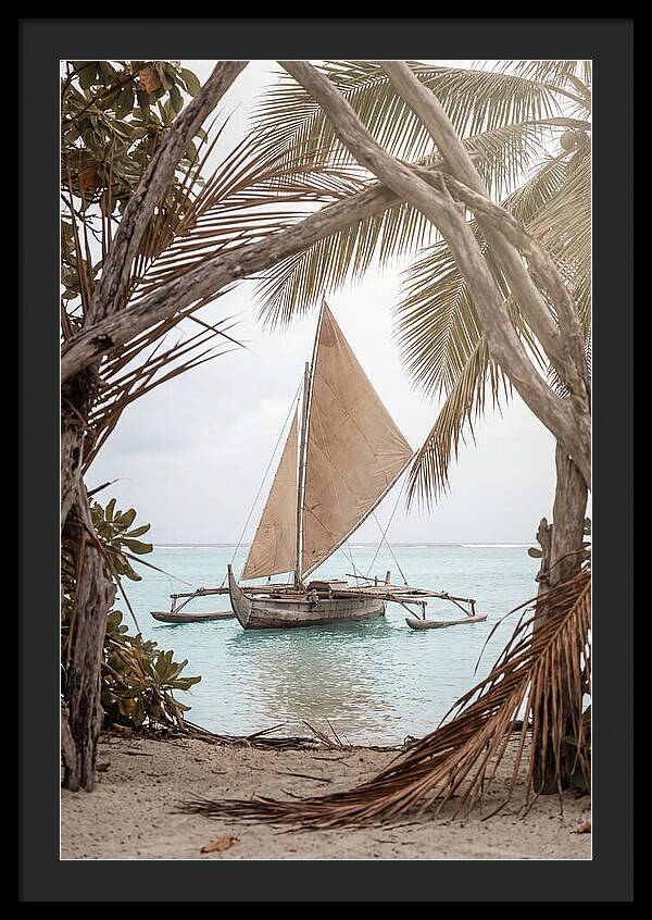 Traditional Outrigger Proa Sailing