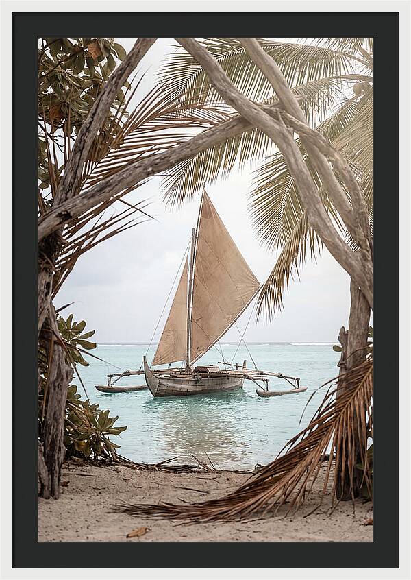 Traditional Outrigger Proa Sailing