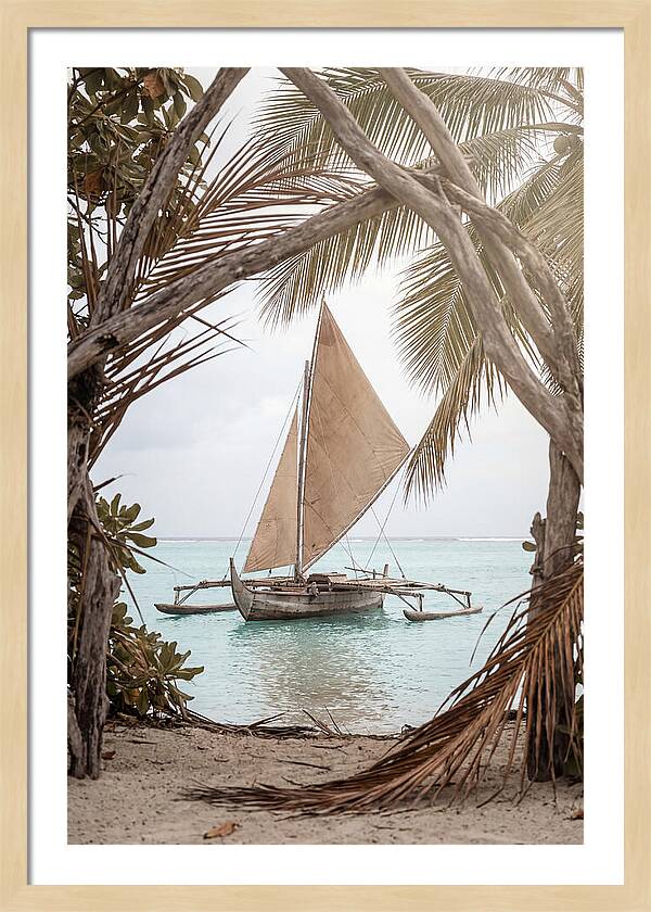 Traditional Outrigger Proa Sailing