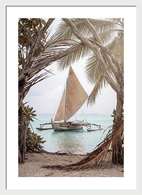 Traditional Outrigger Proa Sailing