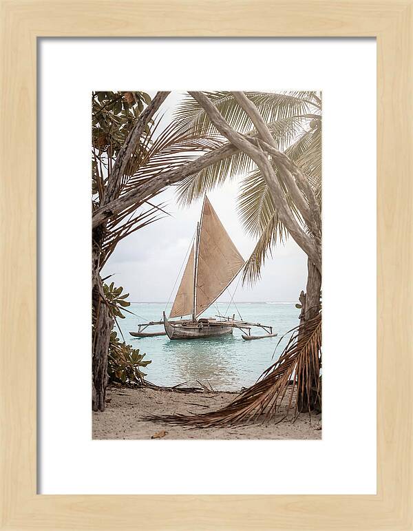Traditional Outrigger Proa Sailing
