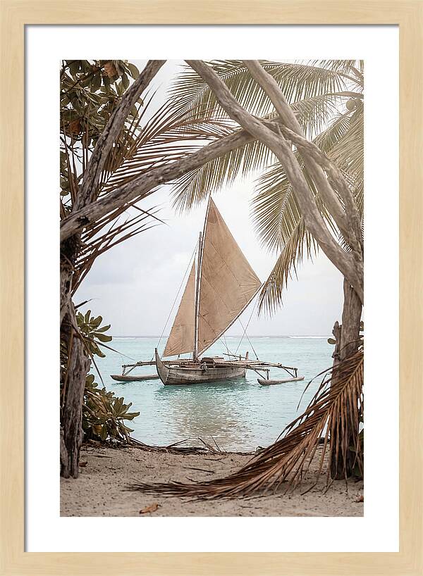 Traditional Outrigger Proa Sailing