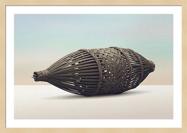 Traditional Tropical Fish Trap