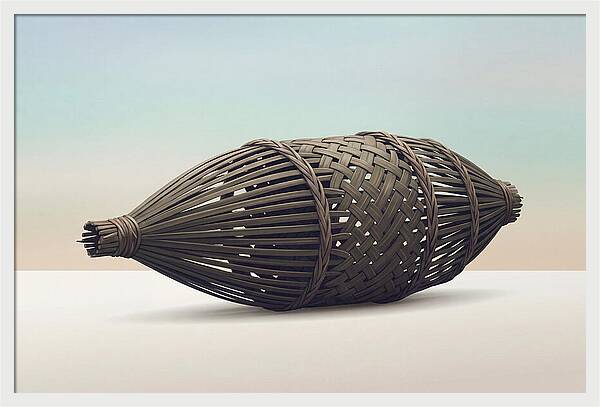 Traditional Tropical Fish Trap