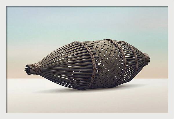 Traditional Tropical Fish Trap