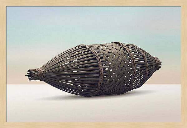 Traditional Tropical Fish Trap