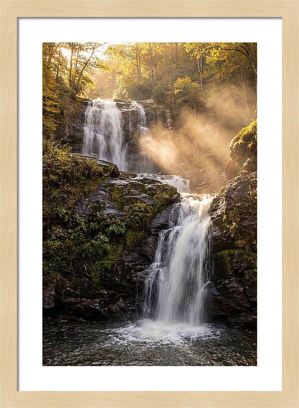 Tranquil Amicalola Falls