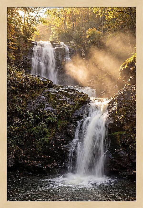 Tranquil Amicalola Falls