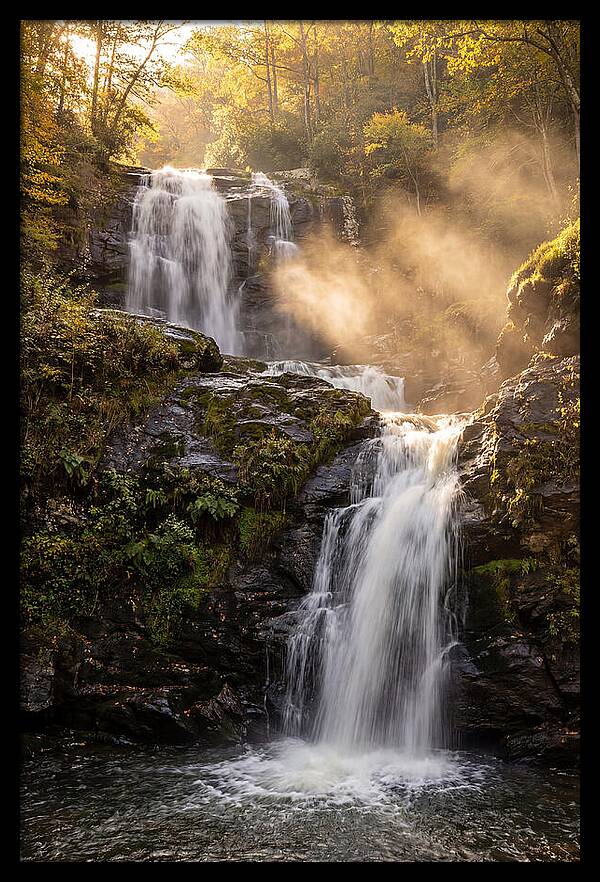 Tranquil Amicalola Falls