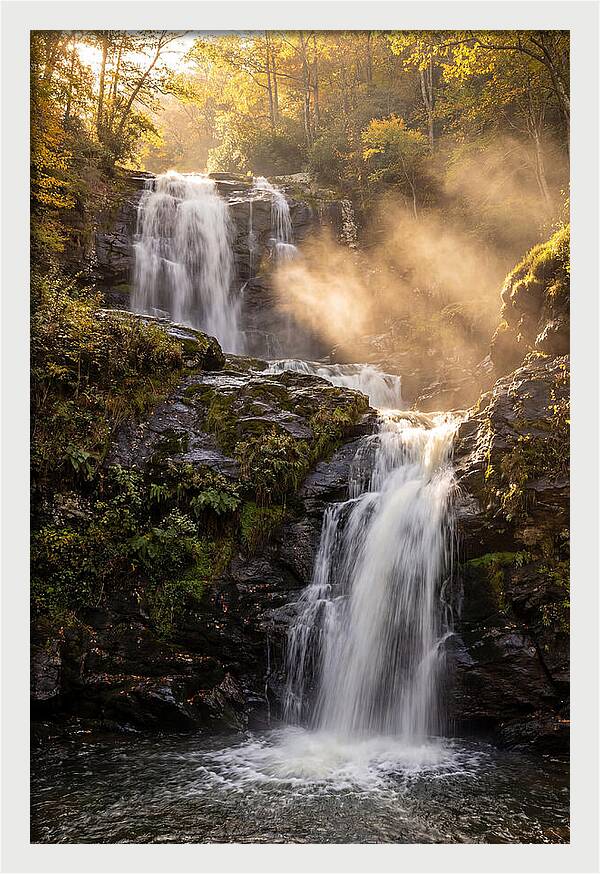 Tranquil Amicalola Falls