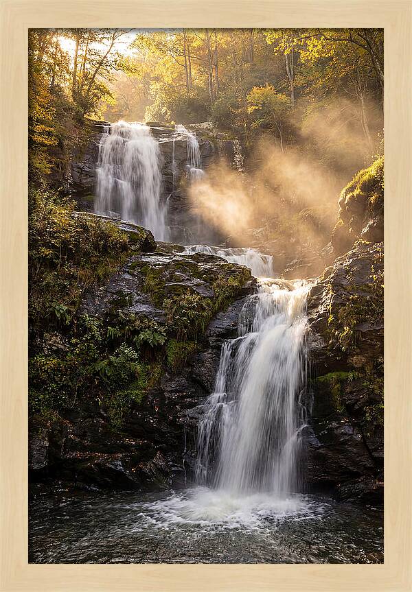 Tranquil Amicalola Falls