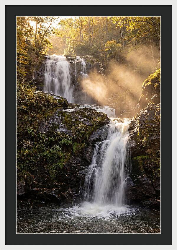 Tranquil Amicalola Falls