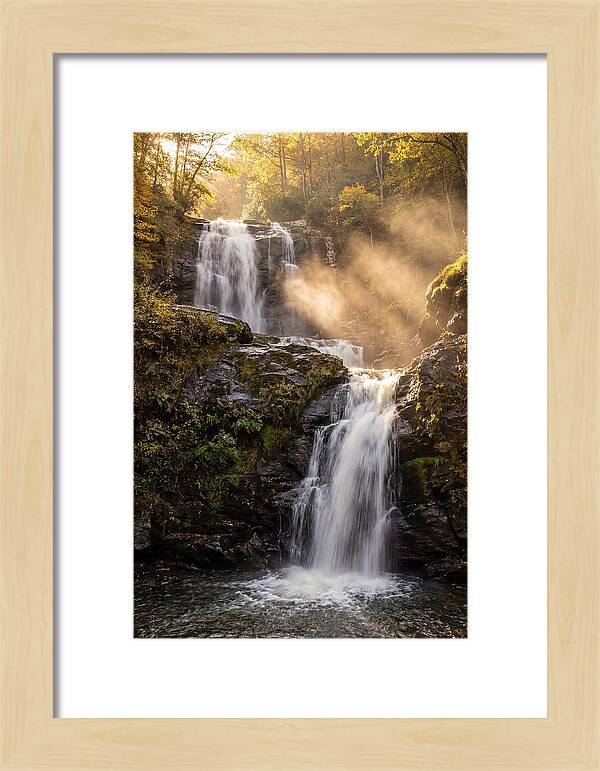 Tranquil Amicalola Falls
