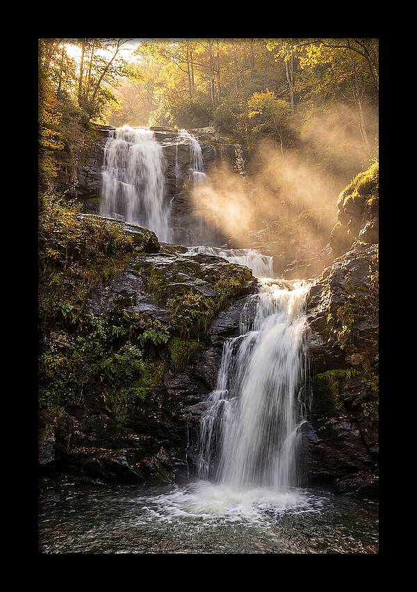Tranquil Amicalola Falls