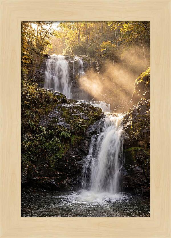 Tranquil Amicalola Falls