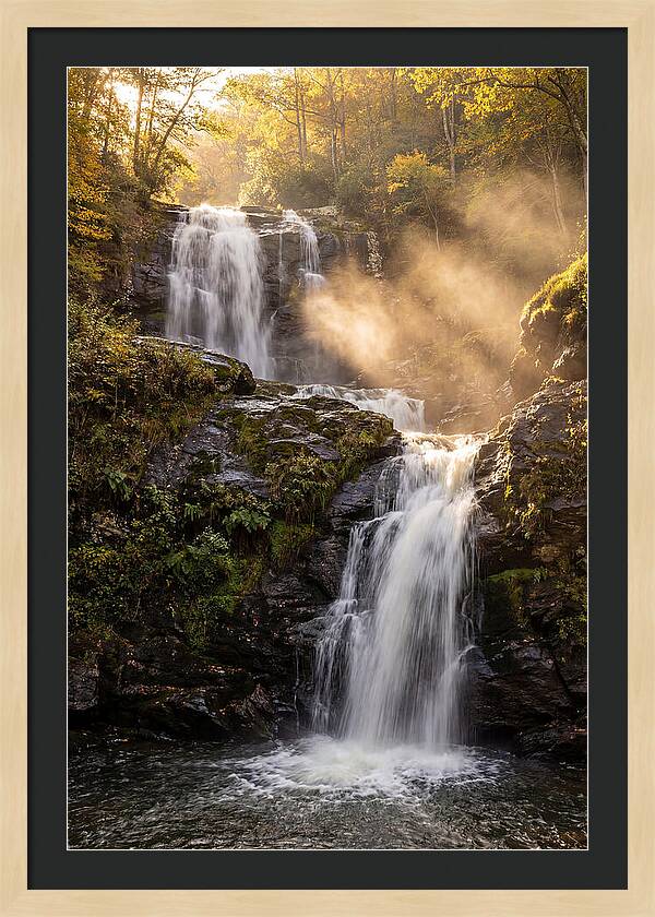 Tranquil Amicalola Falls