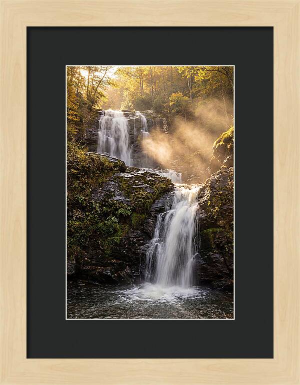 Tranquil Amicalola Falls