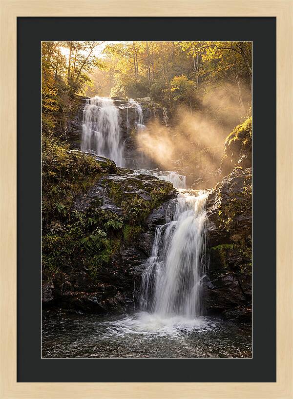 Tranquil Amicalola Falls
