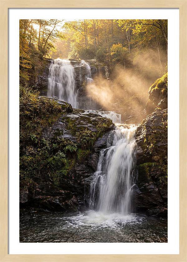 Tranquil Amicalola Falls