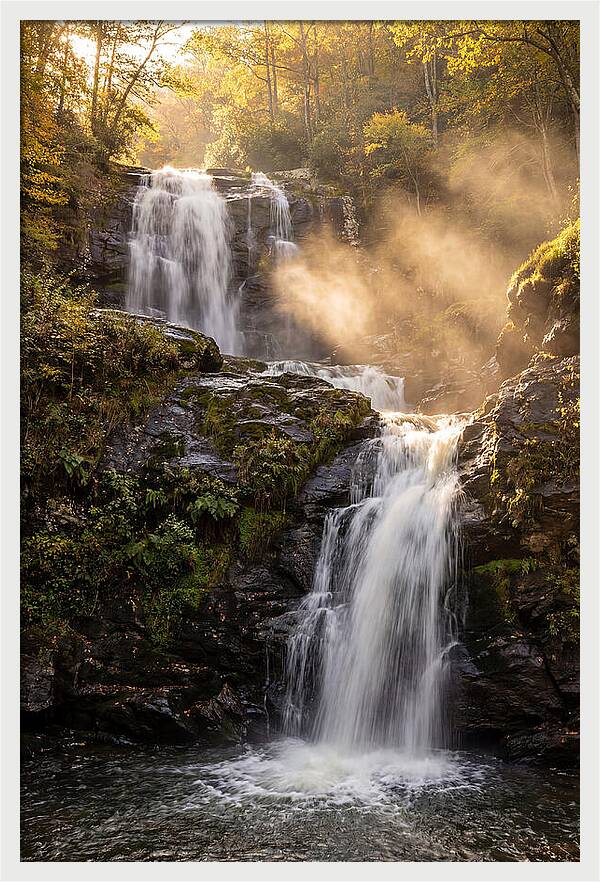 Tranquil Amicalola Falls