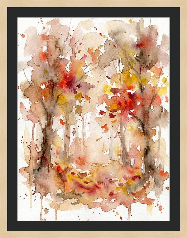 Tranquil Autumn Woods