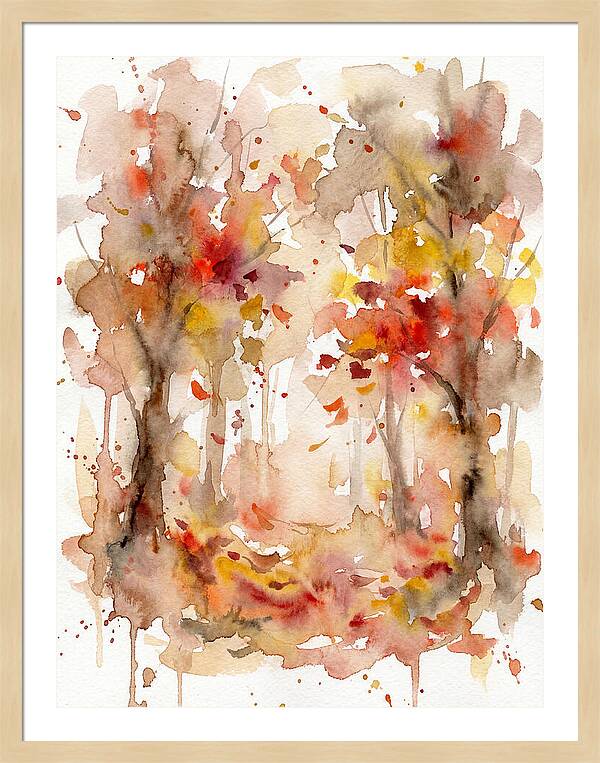 Tranquil Autumn Woods
