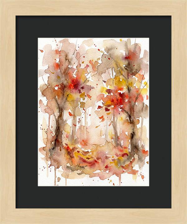 Tranquil Autumn Woods