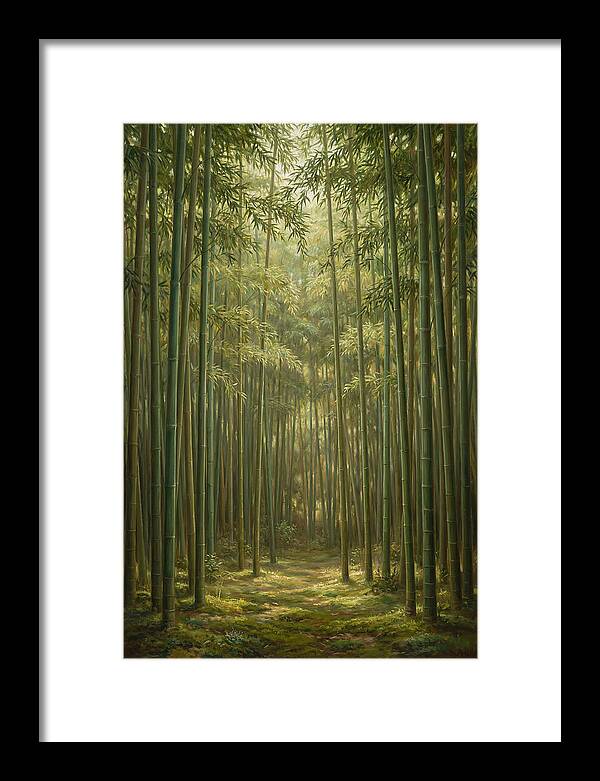Tranquil Bamboo Grove