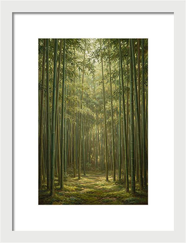 Tranquil Bamboo Grove